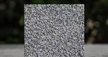 镇江 芝麻黑荔枝面