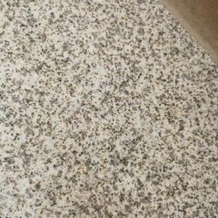 镇江 黄金麻中黄光面