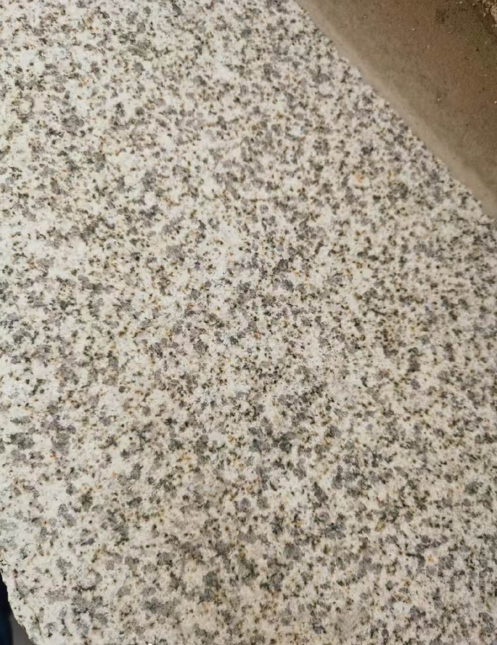 镇江 黄金麻中黄光面