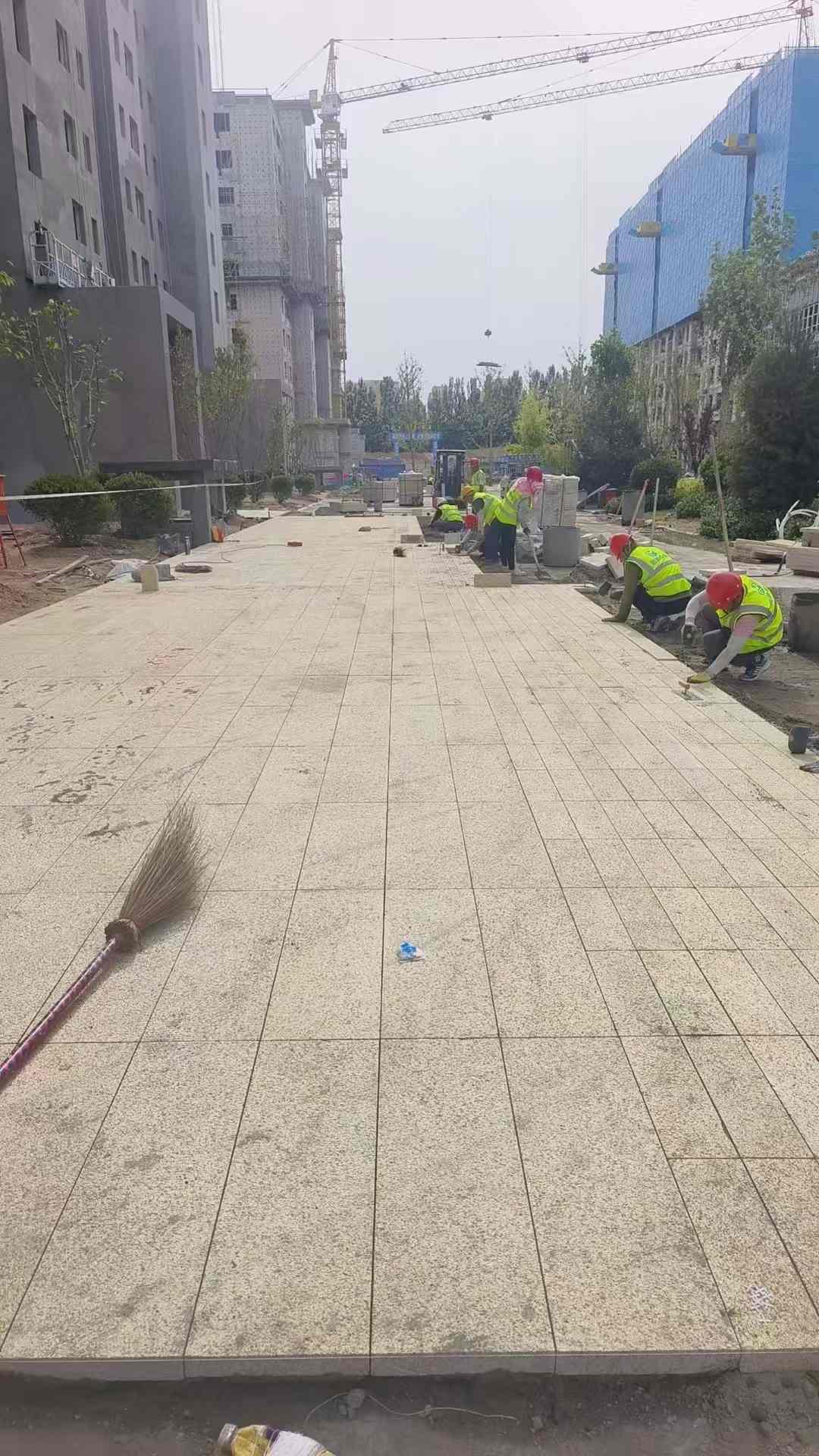 镇江黄金麻荔枝面地铺案例