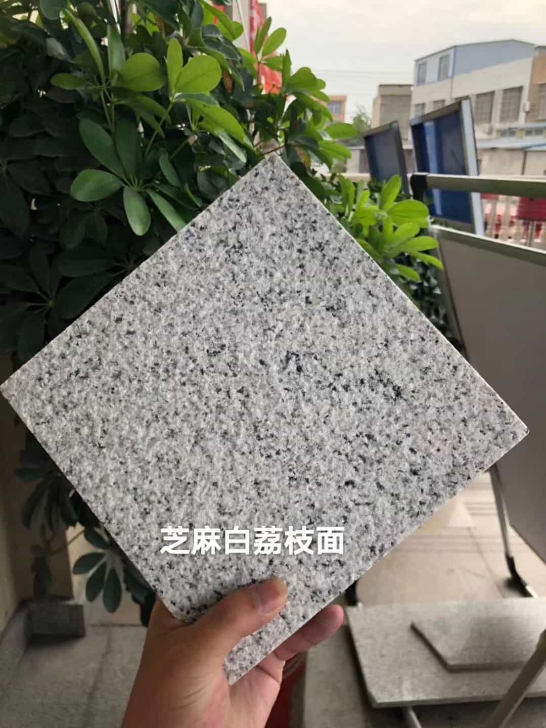 镇江 芝麻白荔枝面干挂