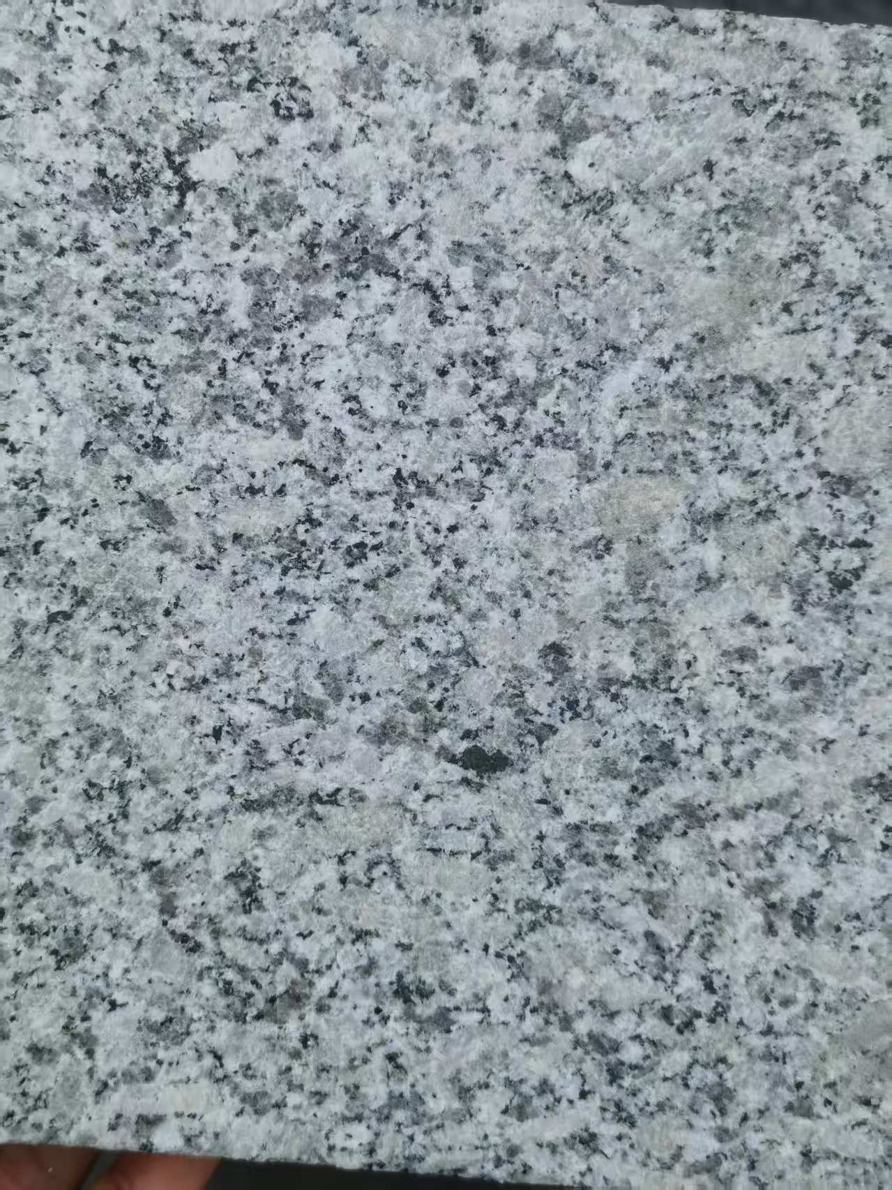 镇江 芙蓉白火烧面